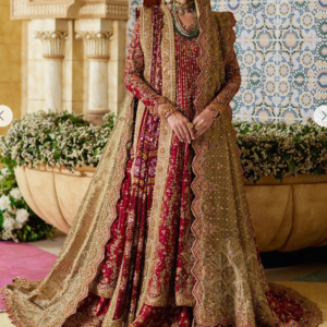 Pakistani Bridal Dress Red and Gold